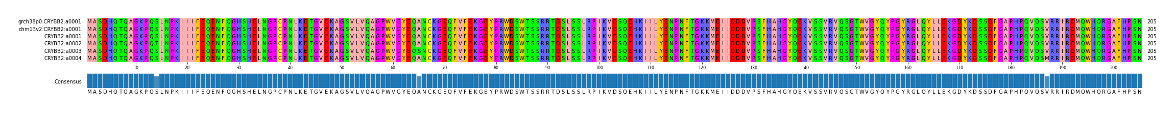 Multiple Alignments (by translate haplotype frequency)
