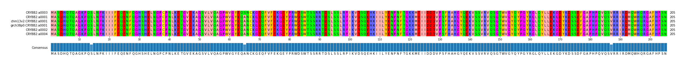 Multiple Alignments (by translate haplotype similarity)