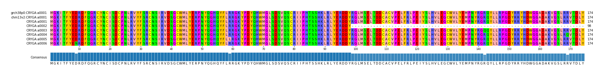 Multiple Alignments (by translate haplotype frequency)