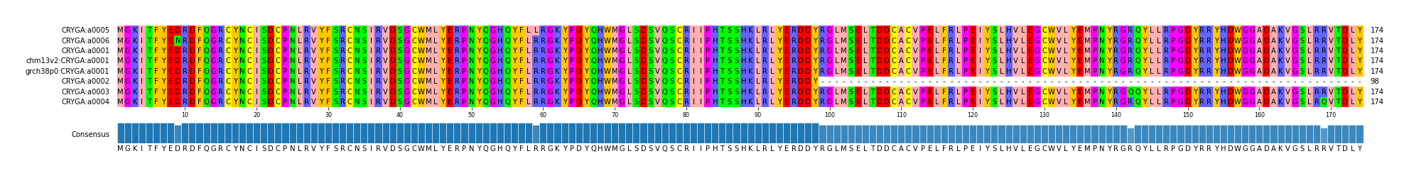 Multiple Alignments (by translate haplotype similarity)