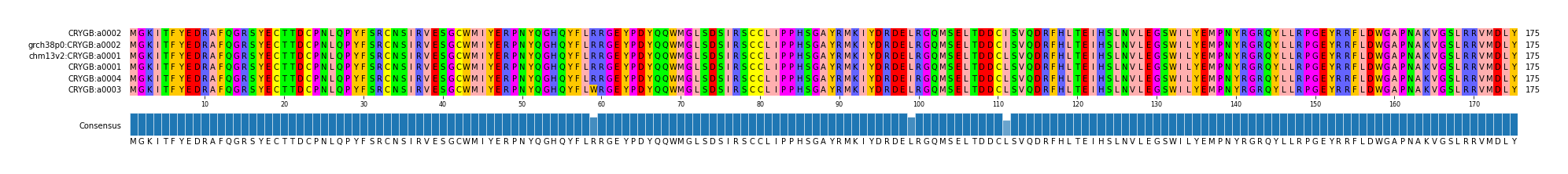 Multiple Alignments (by translate haplotype similarity)