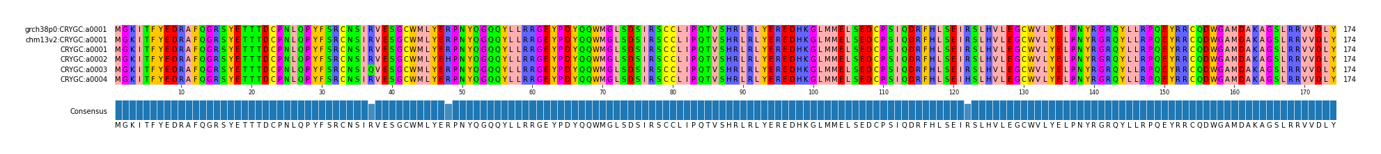 Multiple Alignments (by translate haplotype frequency)