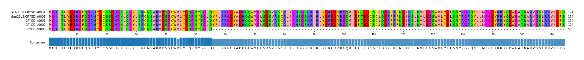 Multiple Alignments (by translate haplotype frequency)