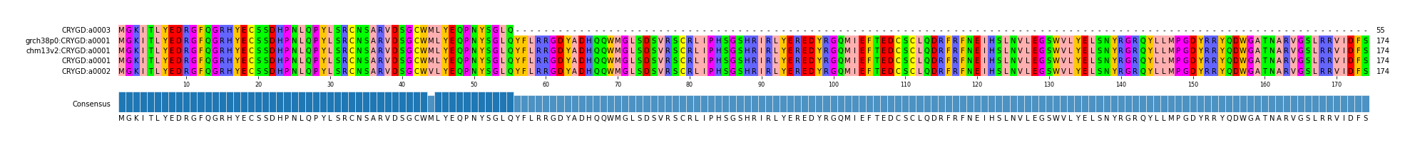 Multiple Alignments (by translate haplotype similarity)