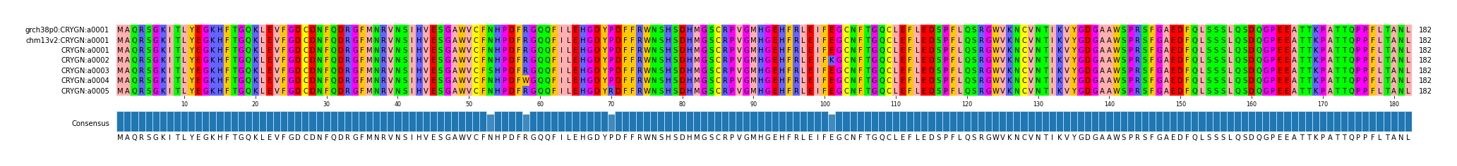Multiple Alignments (by translate haplotype frequency)