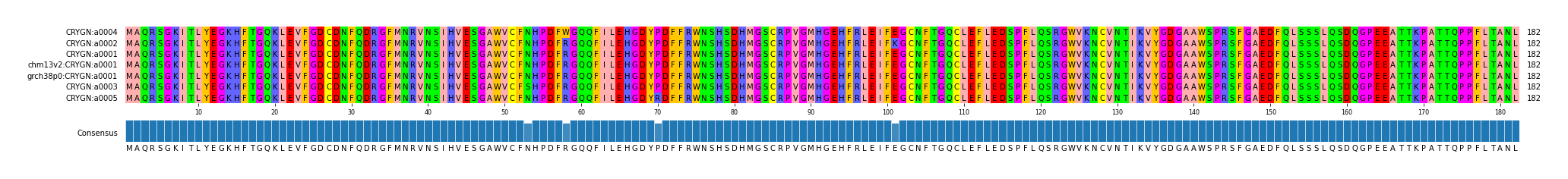 Multiple Alignments (by translate haplotype similarity)