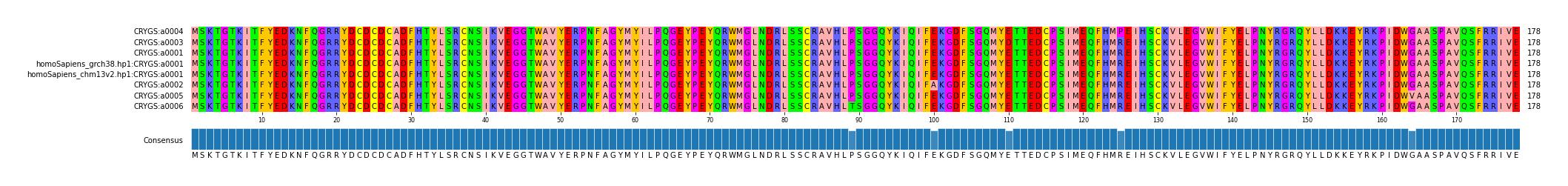 Multiple Alignments (by translate haplotype similarity)