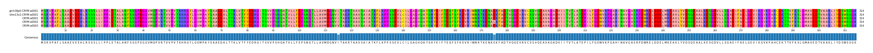 Multiple Alignments (by translate haplotype frequency)