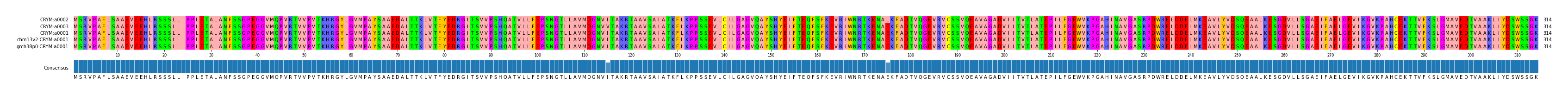 Multiple Alignments (by translate haplotype similarity)