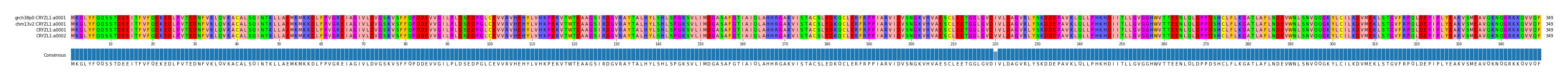 Multiple Alignments (by translate haplotype similarity)