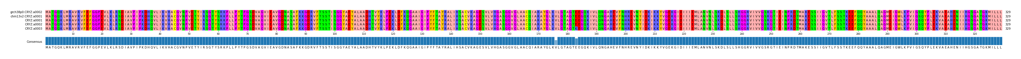 Multiple Alignments (by translate haplotype frequency)