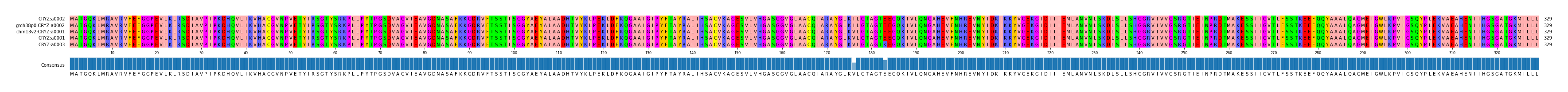 Multiple Alignments (by translate haplotype similarity)