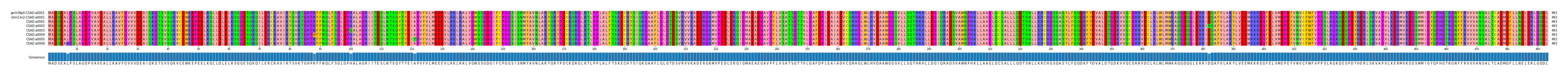Multiple Alignments (by translate haplotype frequency)