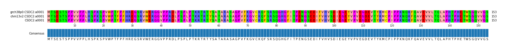Multiple Alignments (by translate haplotype similarity)