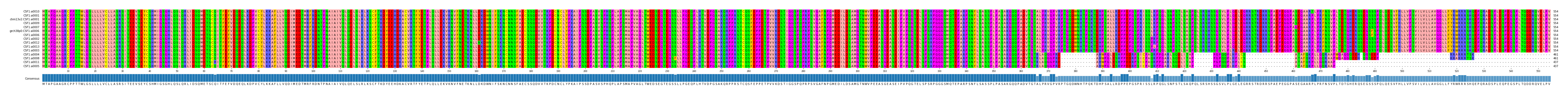Multiple Alignments (by translate haplotype similarity)