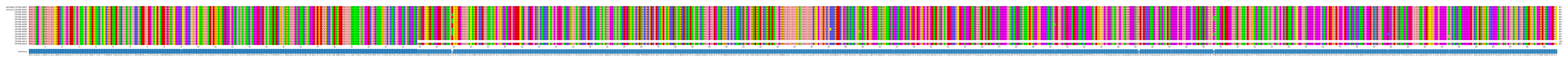 Multiple Alignments (by translate haplotype frequency)