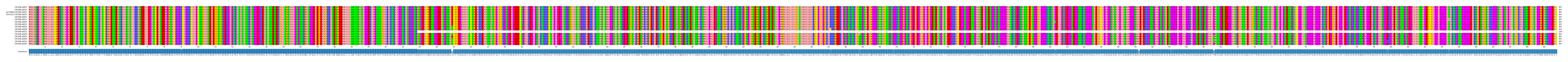 Multiple Alignments (by translate haplotype similarity)