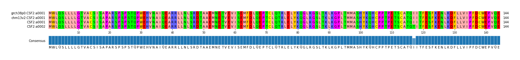 Multiple Alignments (by translate haplotype similarity)