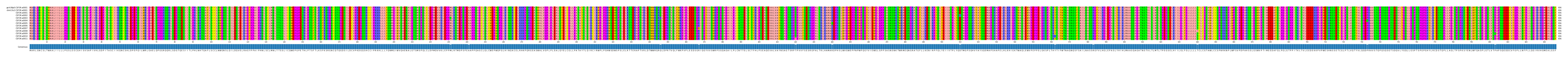 Multiple Alignments (by translate haplotype frequency)