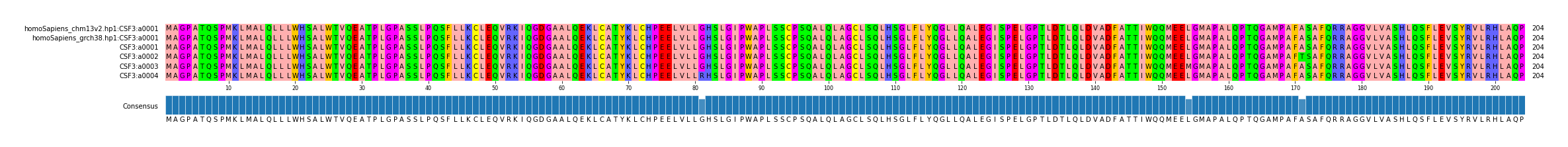 Multiple Alignments (by translate haplotype frequency)