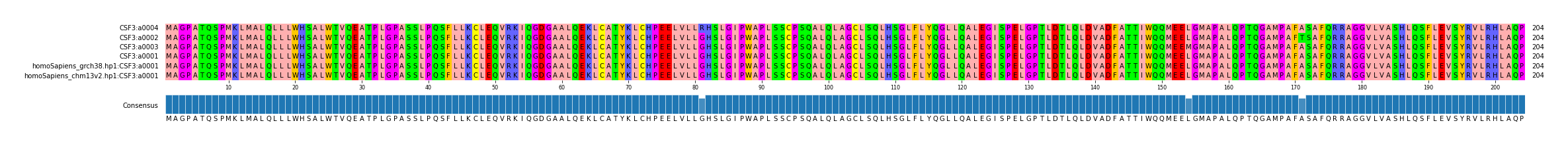 Multiple Alignments (by translate haplotype similarity)