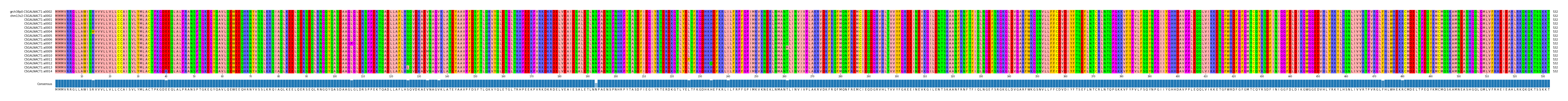 Multiple Alignments (by translate haplotype frequency)