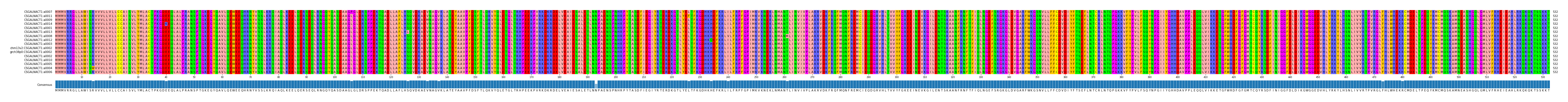Multiple Alignments (by translate haplotype similarity)