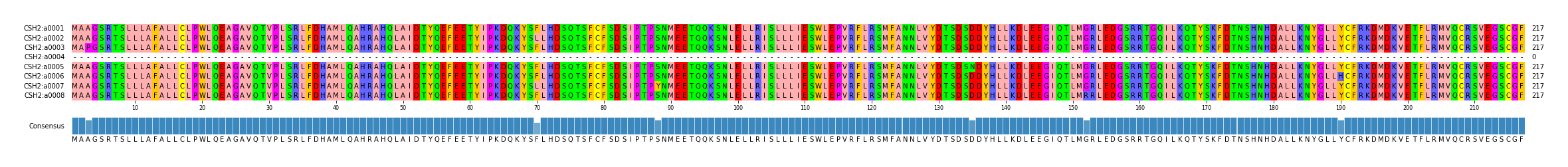 Multiple Alignments (by translate haplotype frequency)