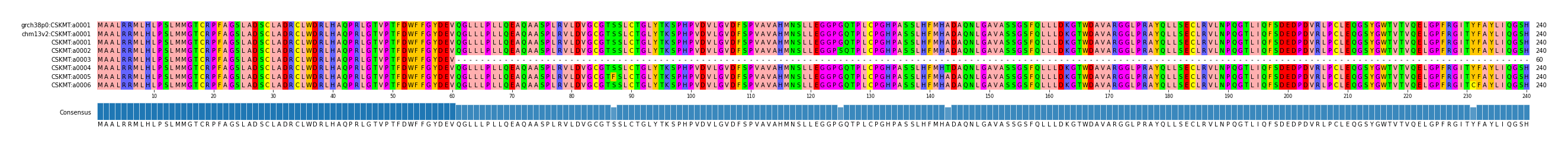 Multiple Alignments (by translate haplotype frequency)