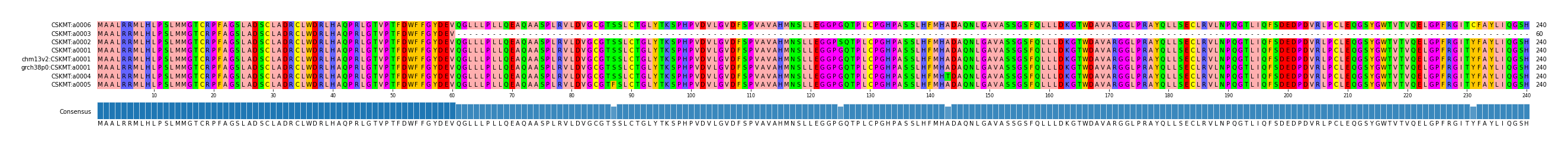 Multiple Alignments (by translate haplotype similarity)