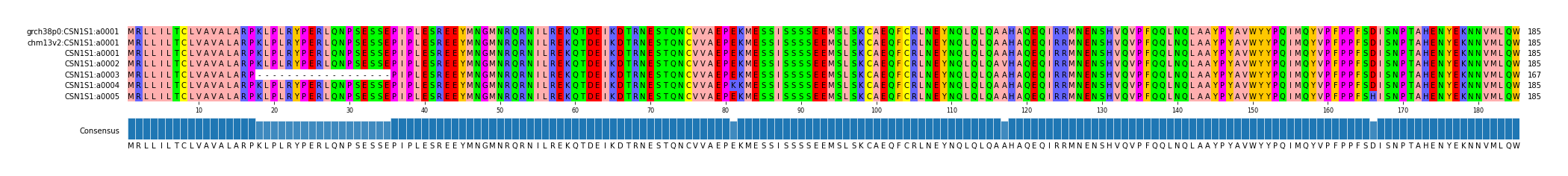 Multiple Alignments (by translate haplotype frequency)