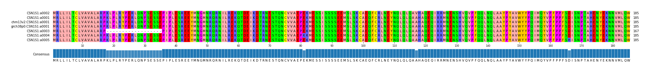Multiple Alignments (by translate haplotype similarity)