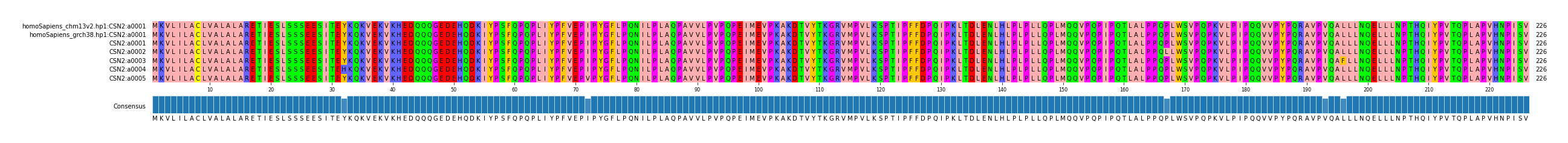Multiple Alignments (by translate haplotype frequency)