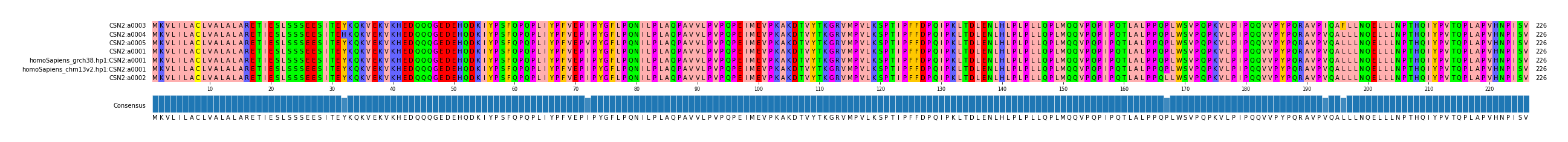Multiple Alignments (by translate haplotype similarity)