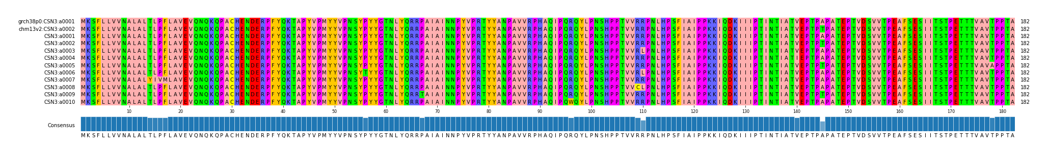 Multiple Alignments (by translate haplotype frequency)
