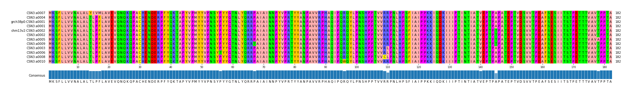 Multiple Alignments (by translate haplotype similarity)