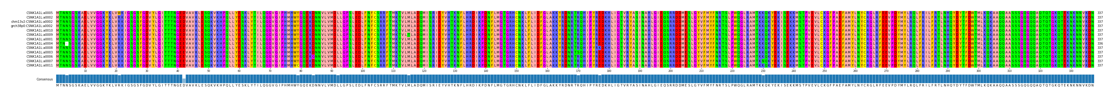 Multiple Alignments (by translate haplotype similarity)