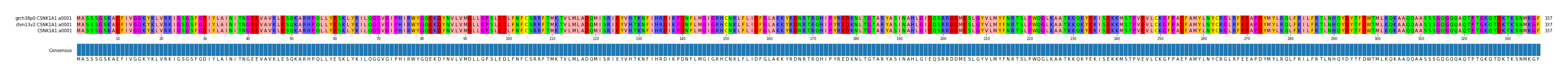 Multiple Alignments (by translate haplotype similarity)