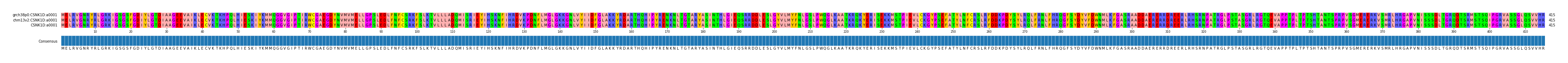 Multiple Alignments (by translate haplotype similarity)
