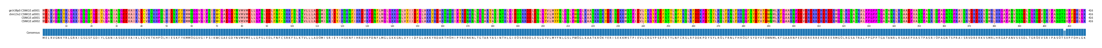 Multiple Alignments (by translate haplotype similarity)