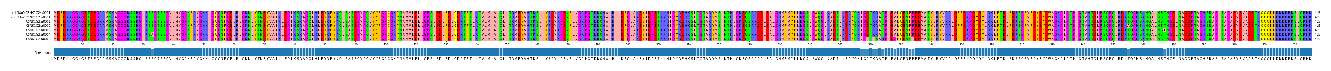 Multiple Alignments (by translate haplotype frequency)