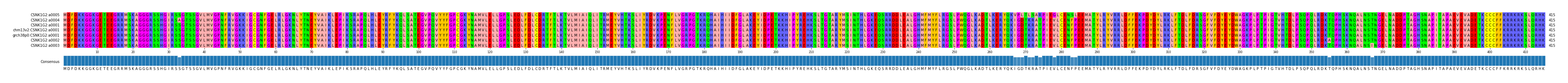 Multiple Alignments (by translate haplotype similarity)