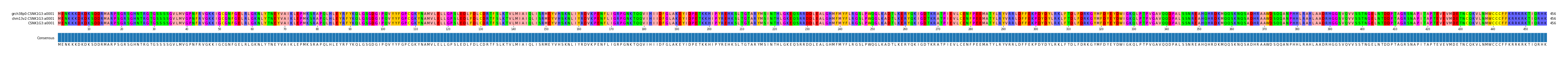 Multiple Alignments (by translate haplotype similarity)
