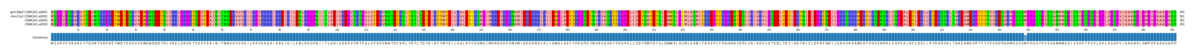 Multiple Alignments (by translate haplotype similarity)
