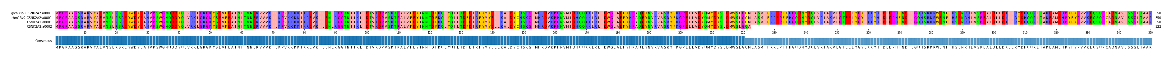 Multiple Alignments (by translate haplotype similarity)