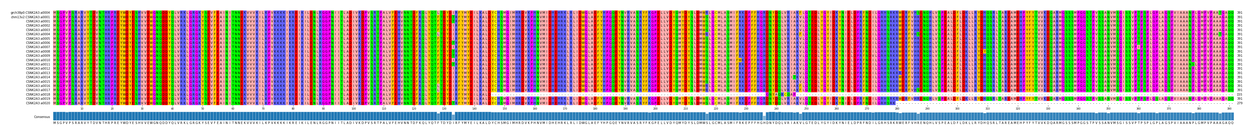 Multiple Alignments (by translate haplotype frequency)