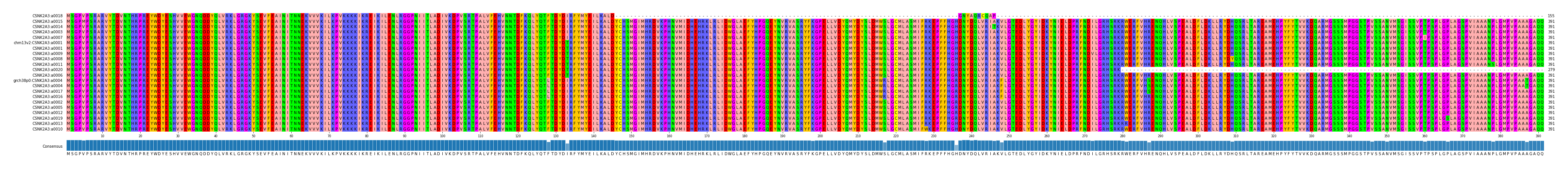 Multiple Alignments (by translate haplotype similarity)