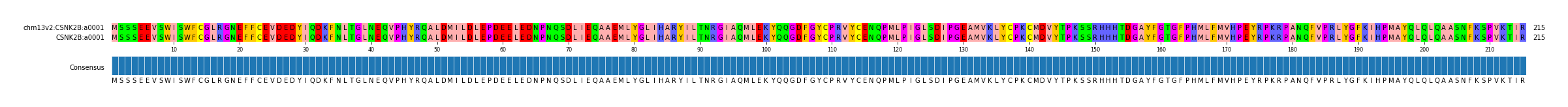 Multiple Alignments (by translate haplotype similarity)