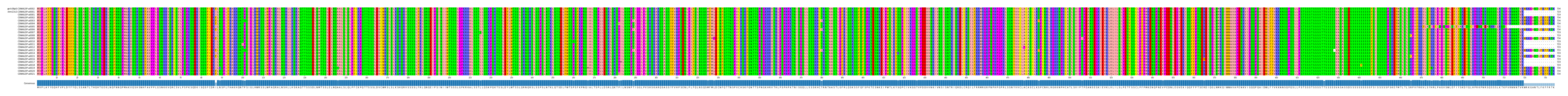 Multiple Alignments (by translate haplotype frequency)