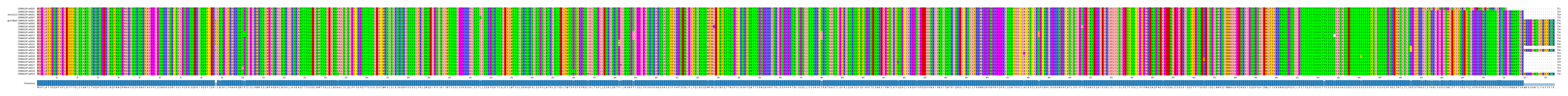 Multiple Alignments (by translate haplotype similarity)